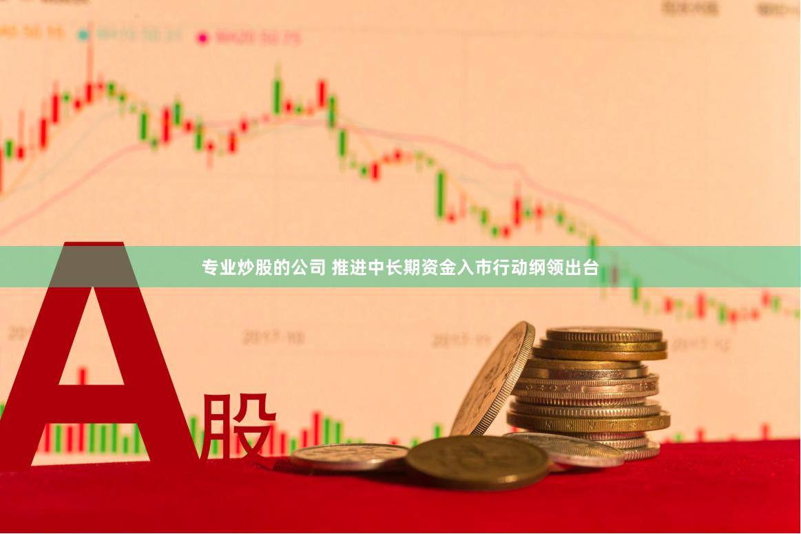 专业炒股的公司 推进中长期资金入市行动纲领出台